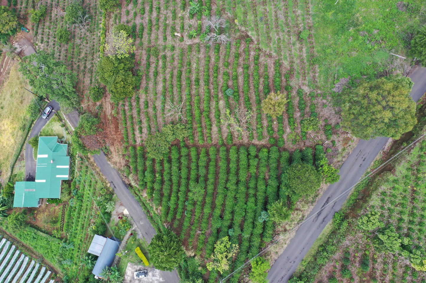 Finca Matilde
